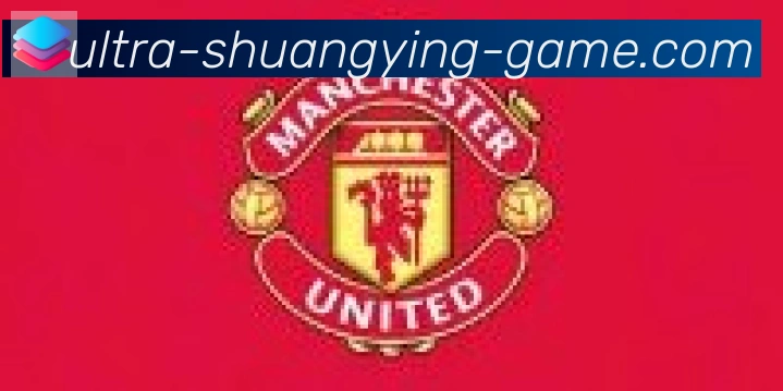 双赢彩票入口合作伙伴